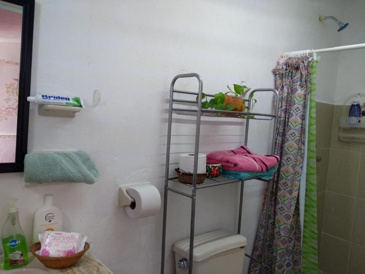 Casa Mestiza Apartment Merida Ngoại thất bức ảnh